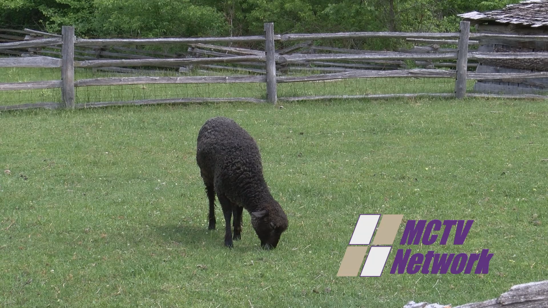 Thumbnail image for Station promo 7