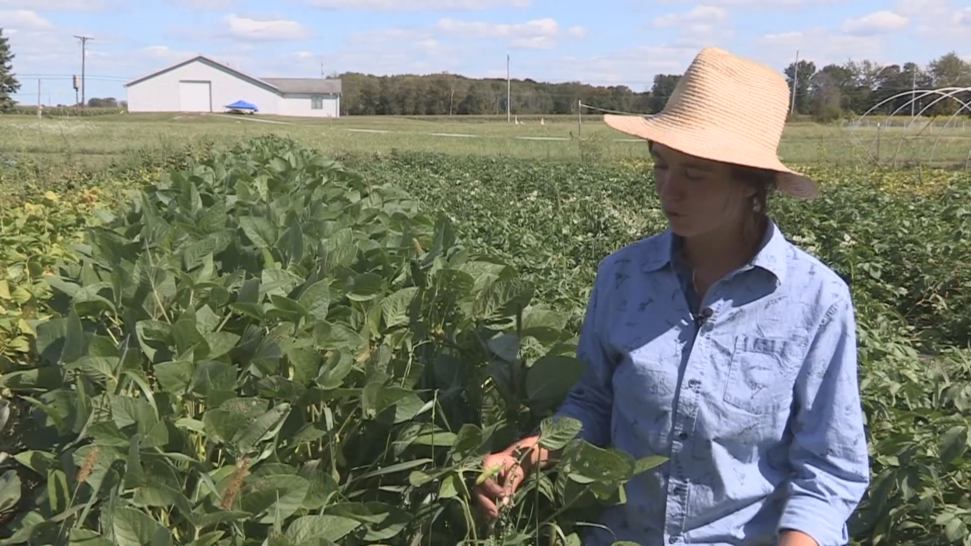 Thumbnail image for Second Act:  Life at 50+ Autumn 11-26-2019