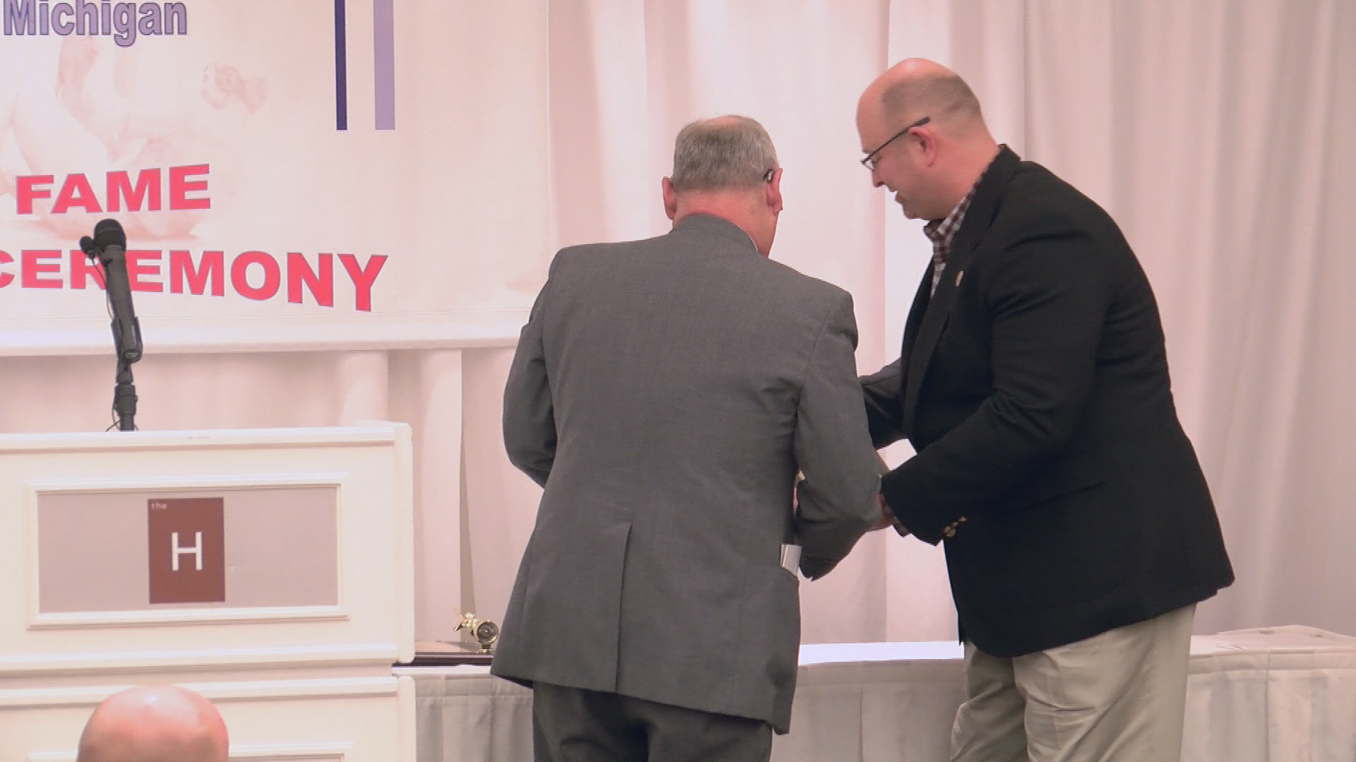 Thumbnail image for USA Softball Hall of Fame 2020