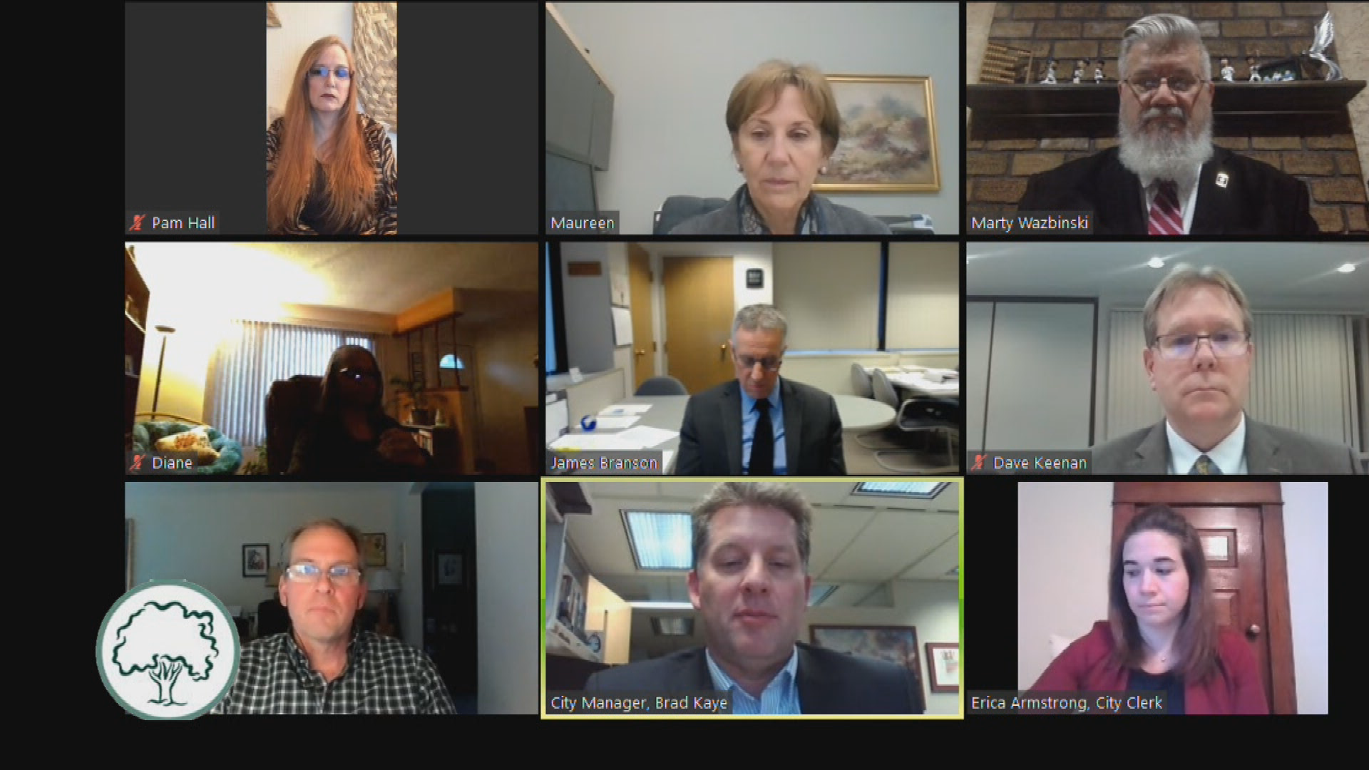 Thumbnail image for City Council Meeting 4/13/2020