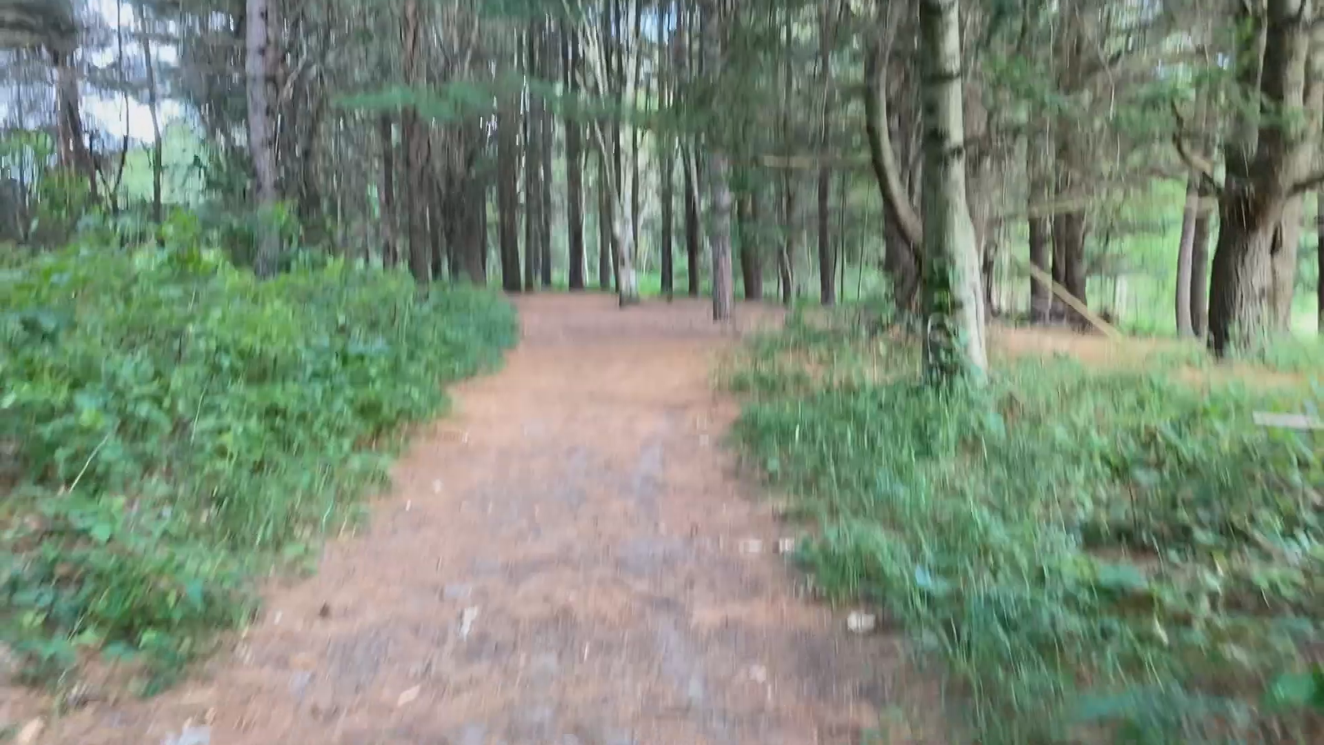 Thumbnail image for Spotlight | Parks & Recreation | Walk Midland 2020