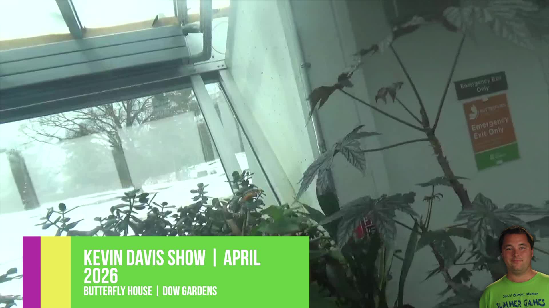 Thumbnail image for Kevin Davis: Butterflies 2026