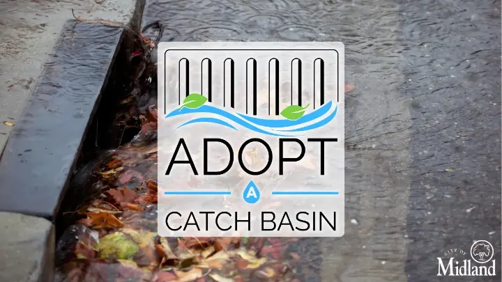 Thumbnail image for Adopt A Catch Basin