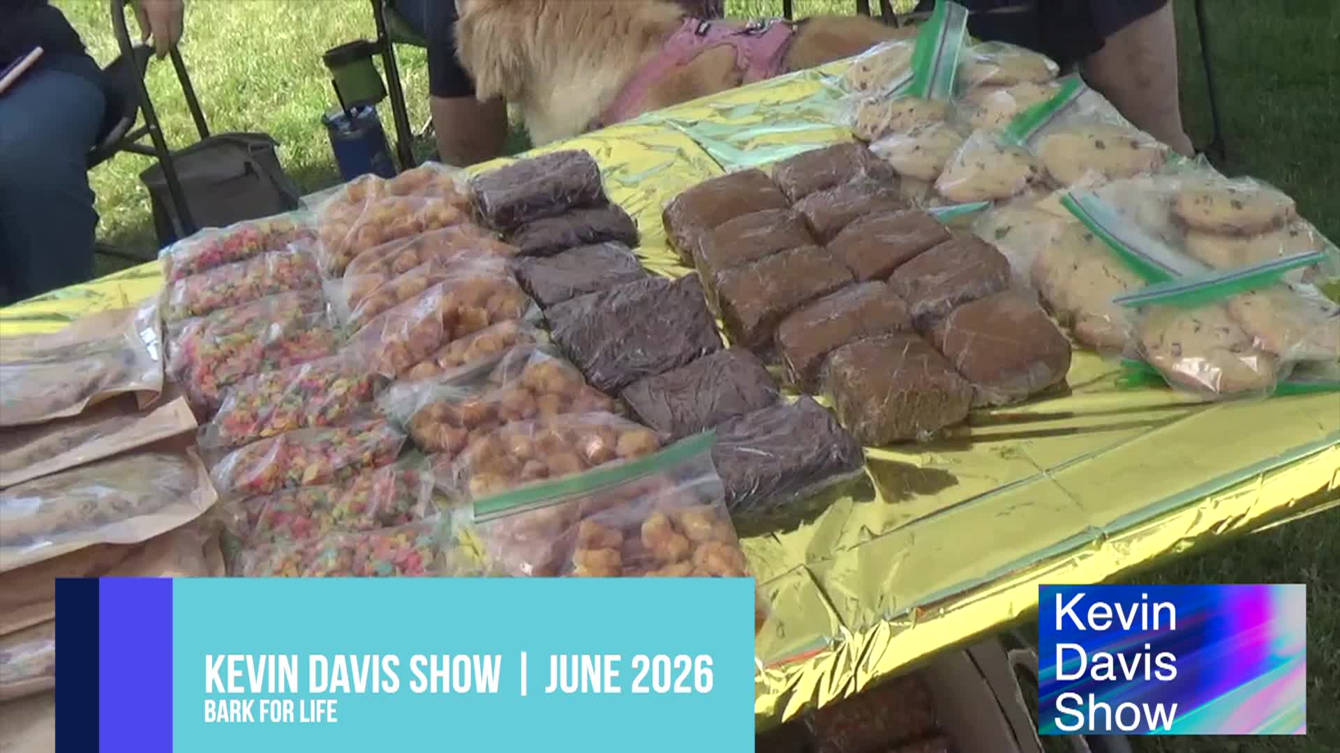 Thumbnail image for Kevin Davis Show - Bark for Life